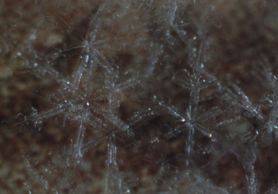 Прикрепленное изображение: Image2013-12-11_16-12-35 2.png